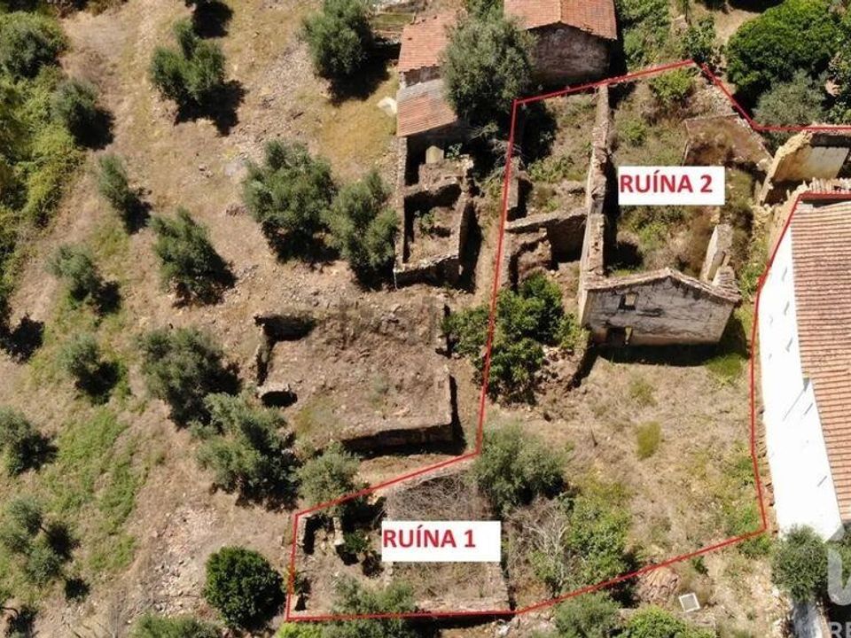 Tomt i Vila de Rei, Castelo Branco - bilde 1