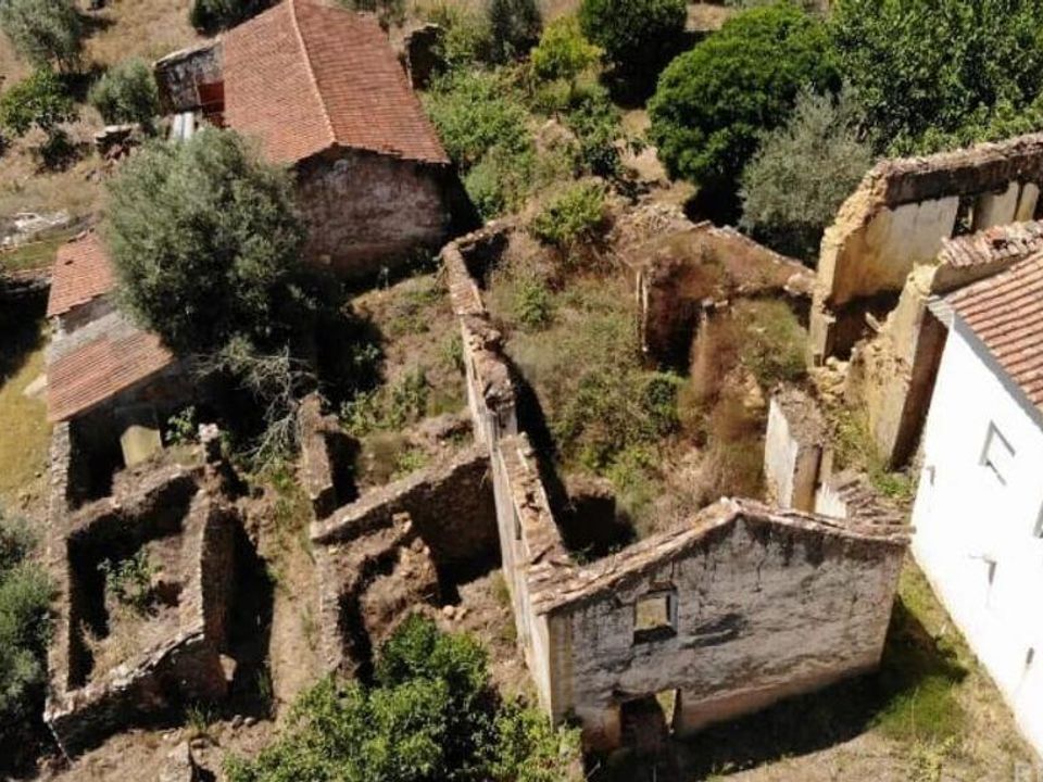 Tomt i Vila de Rei, Castelo Branco - bilde 3