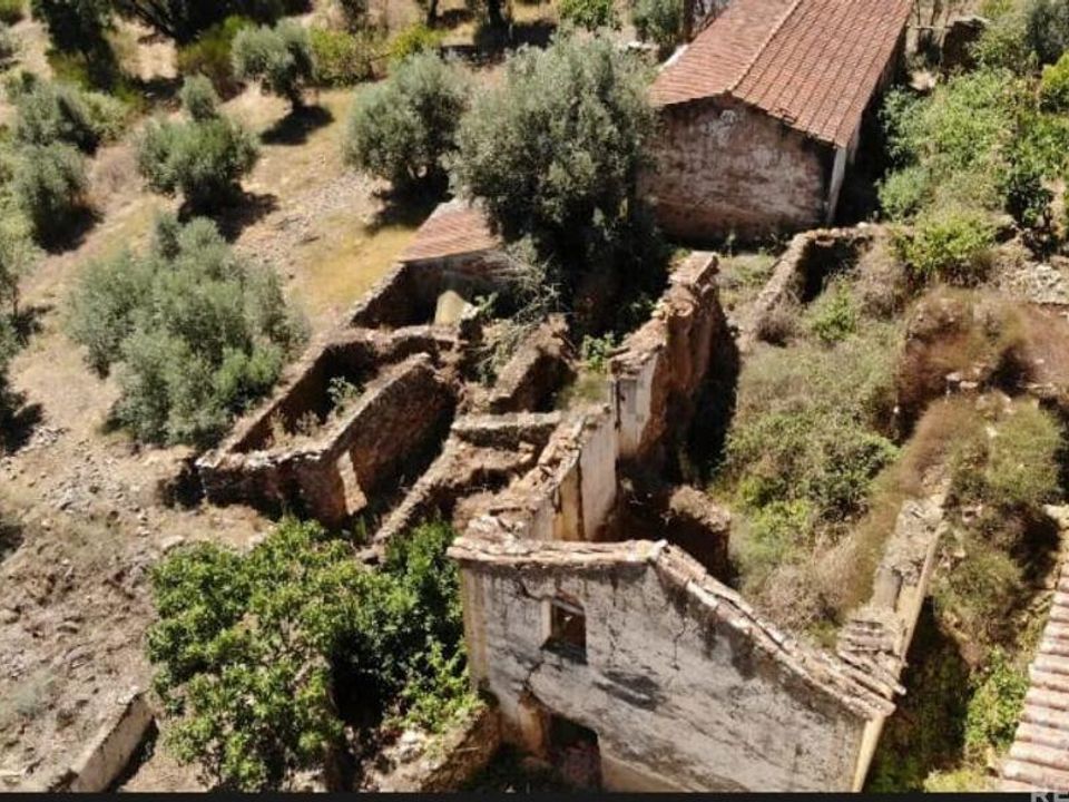 Tomt i Vila de Rei, Castelo Branco - bilde 4