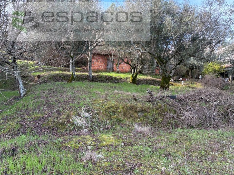 Tomt i Fundao, Castelo Branco - bilde 2