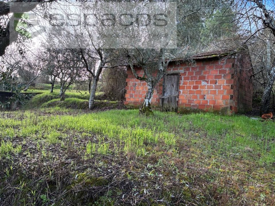 Tomt i Fundao, Castelo Branco - bilde 3