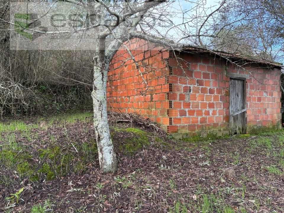 Tomt i Fundao, Castelo Branco - bilde 4