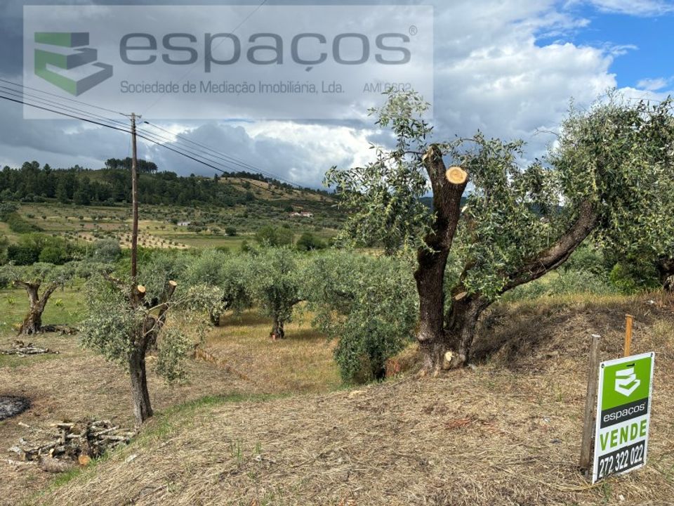 Helårsgrund i Fundao, Castelo Branco - foto 1