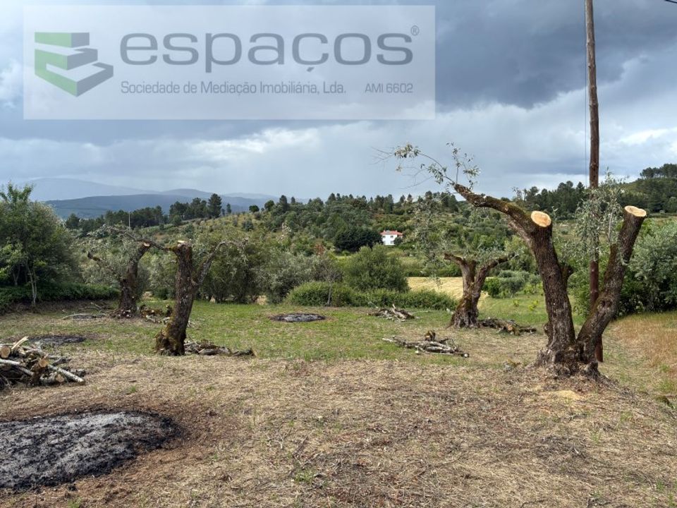 Helårsgrund i Fundao, Castelo Branco - foto 2