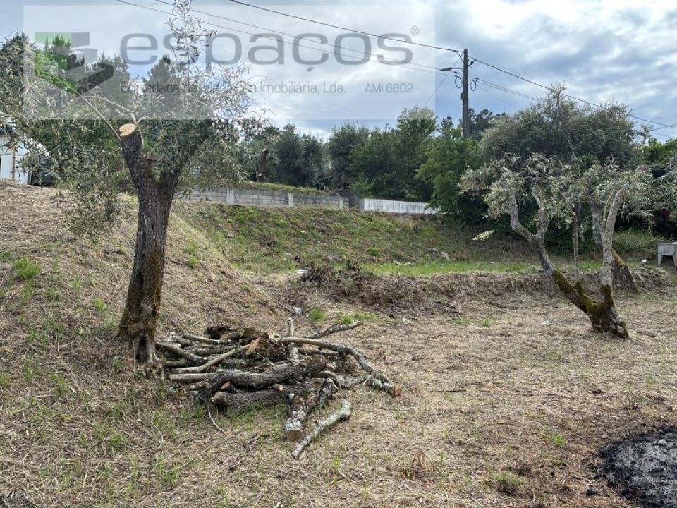 Helårsgrund i Fundao, Castelo Branco - foto 4