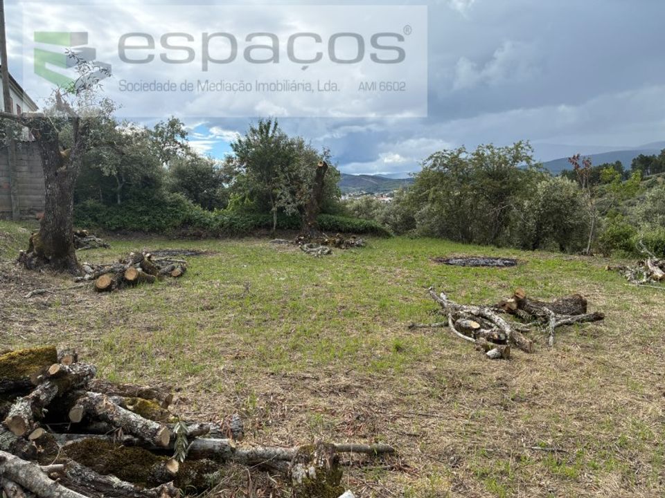 Helårsgrund i Fundao, Castelo Branco - foto 5