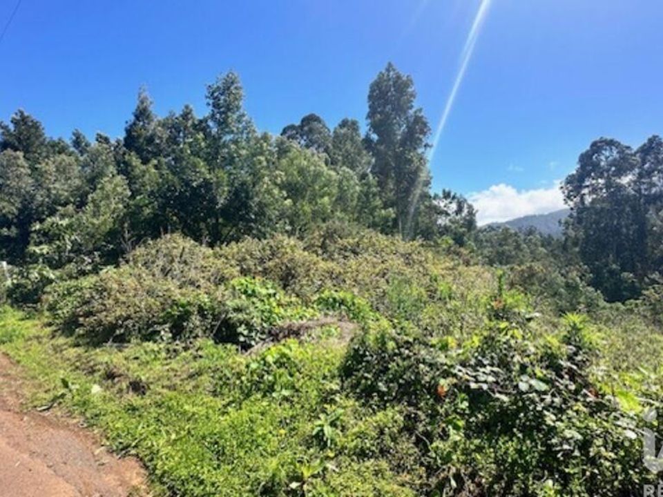 Helårsgrund i Santana, Madeira - foto 4