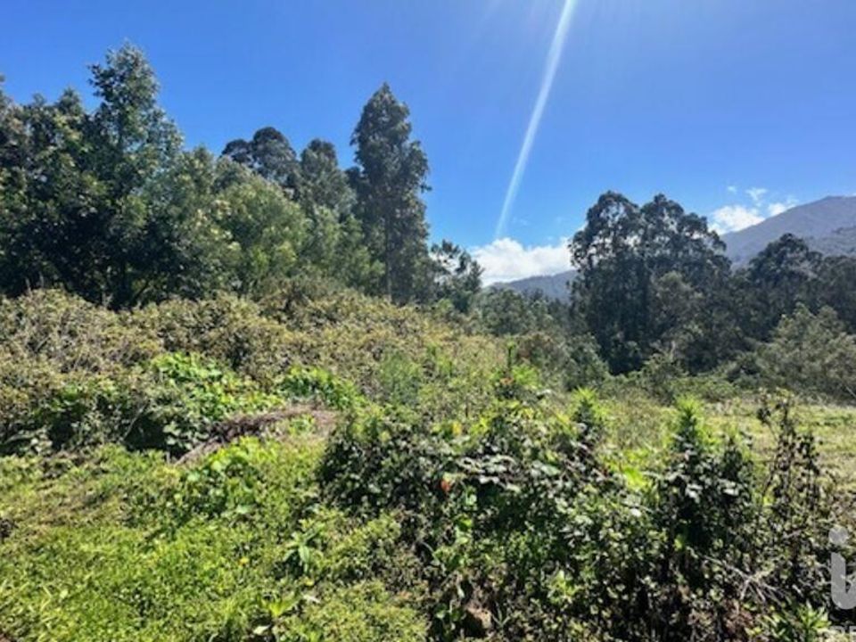Helårsgrund i Santana, Madeira - foto 5