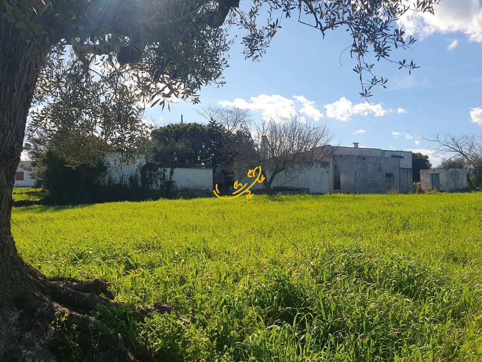 Landejendom i Ostuni, Brindisi - foto 2