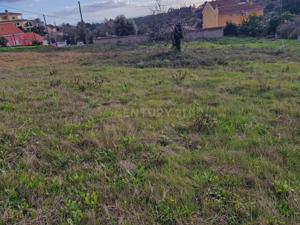 Helårsgrund i Carvalhal, Santarem - foto 3