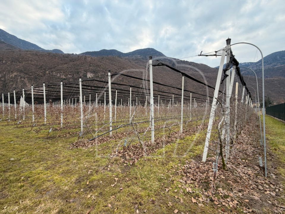 Herregård i Laives, South Tyrol - bilde 2