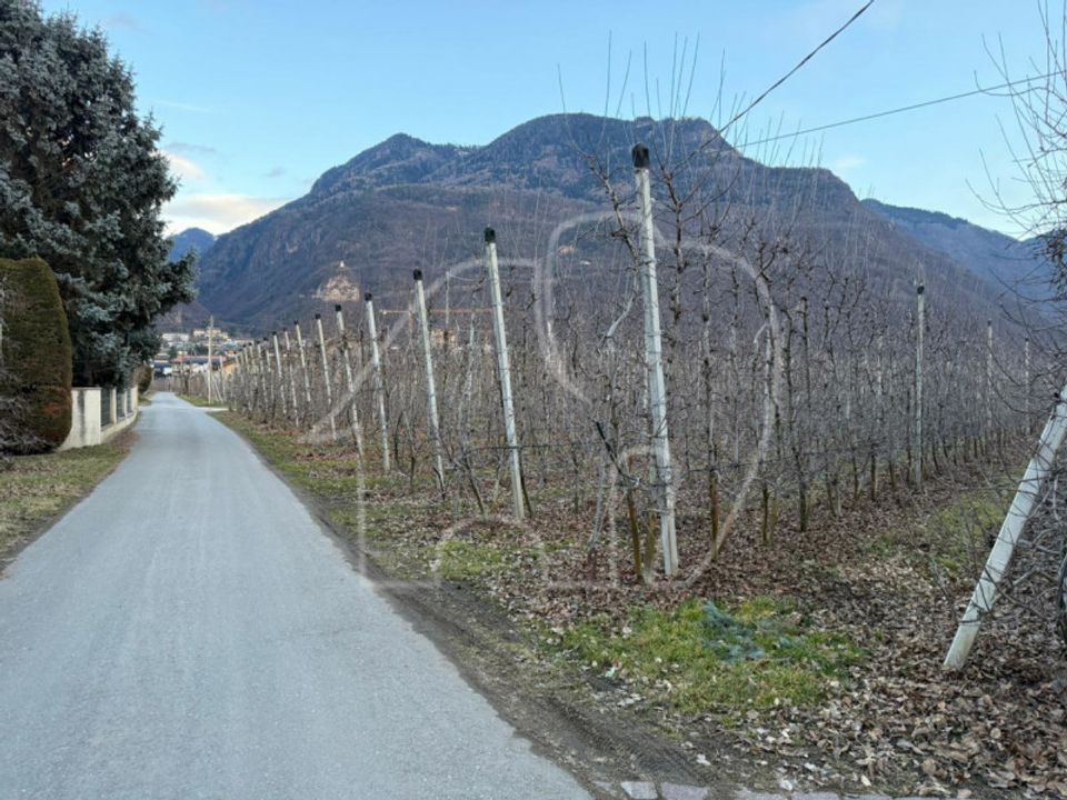 Herregård i Laives, South Tyrol - bilde 3