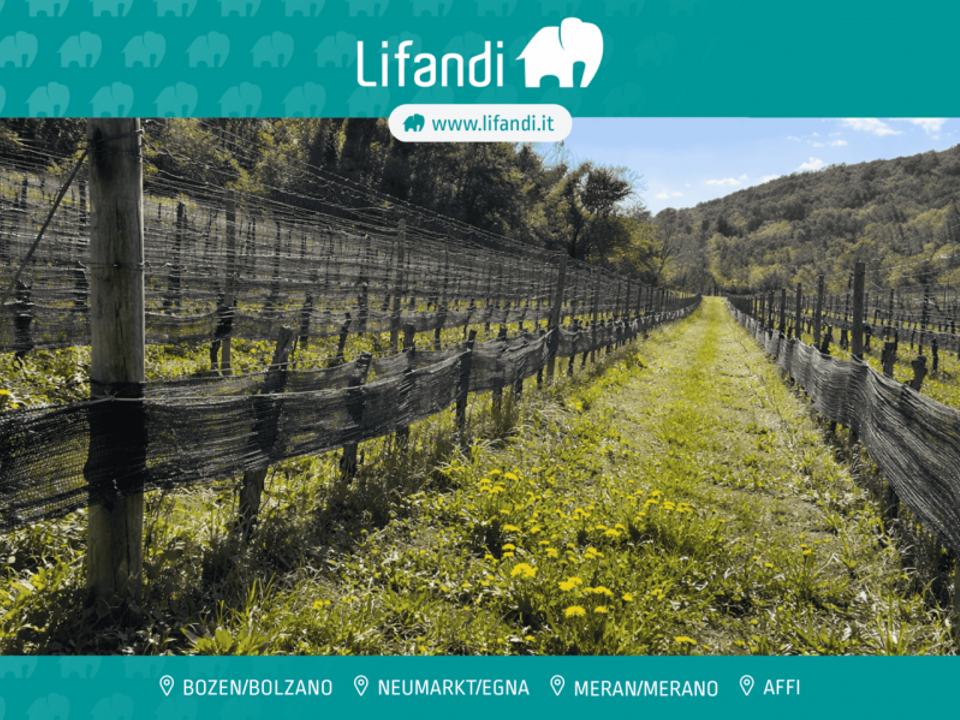 Helårsgrund i Montagna, South Tyrol - foto 1