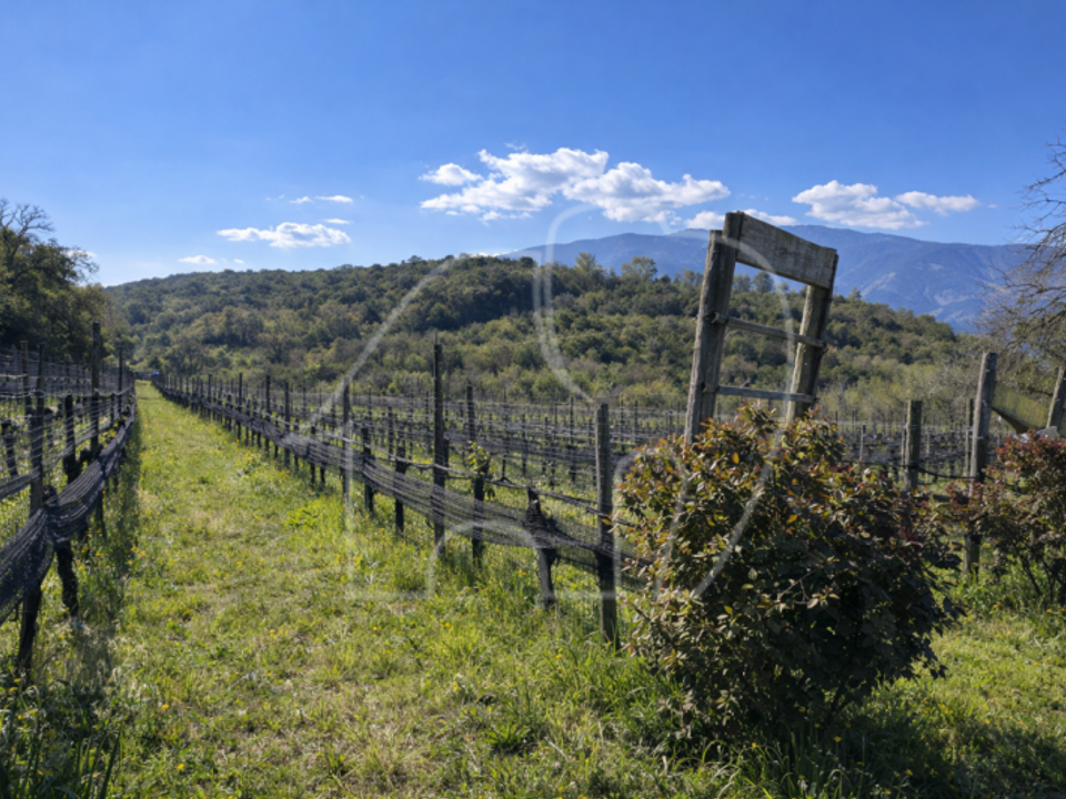 Helårsgrund i Montagna, South Tyrol - foto 5