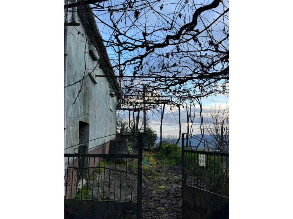 Villa in Portela e Extremo, Viana do Castelo - foto 3