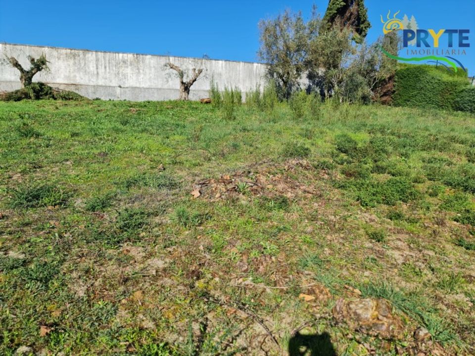 Helårsgrund i Serta, Castelo Branco - foto 2