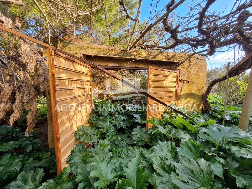 Villa i Alghero, Sassari - foto 3