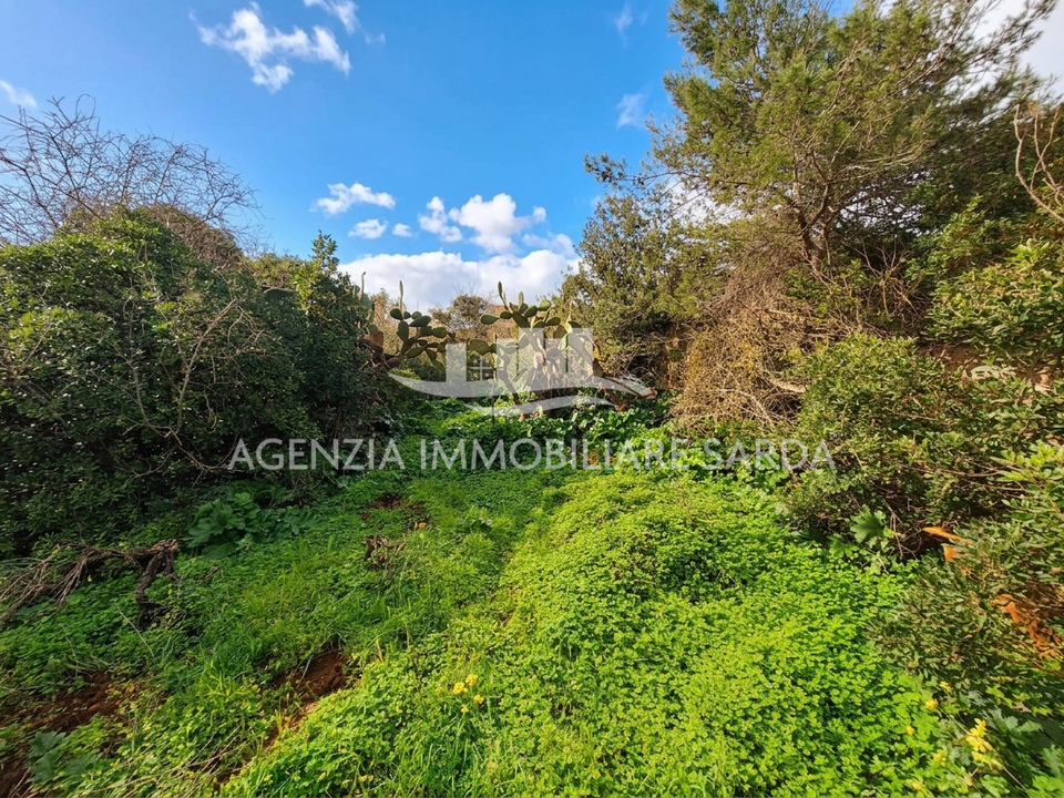 Villa i Alghero, Sassari - foto 5