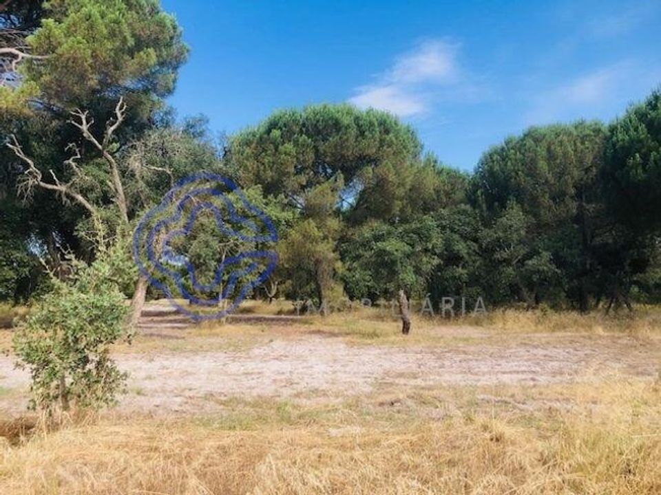 Helårsgrund i Palmela, Setubal - foto 2
