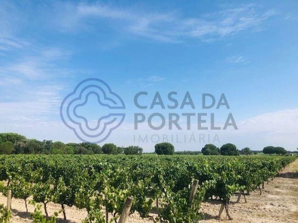 Helårsgrund i Palmela, Setubal - foto 3