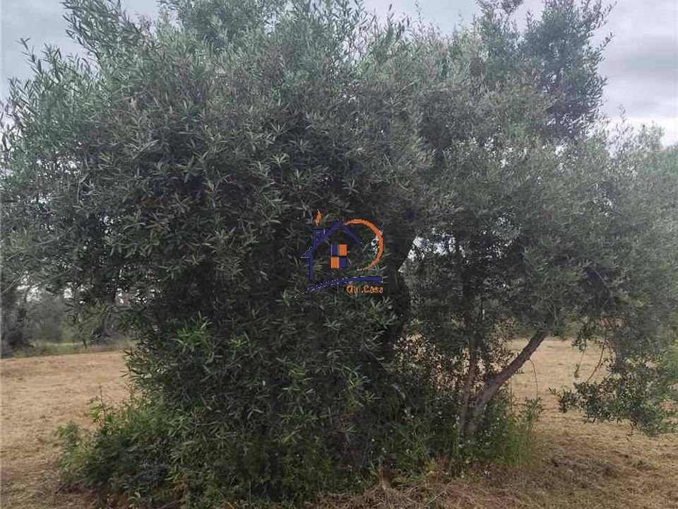 Helårsgrund i Corigliano-Rossano, Cosenza - foto 1