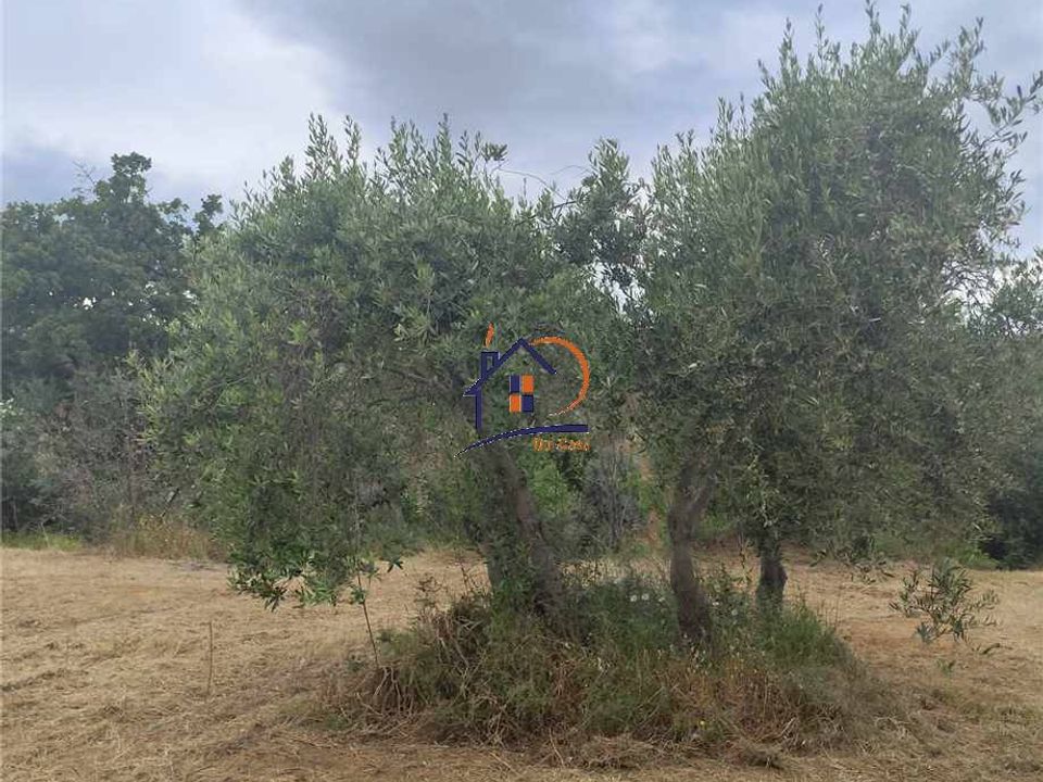 Helårsgrund i Corigliano-Rossano, Cosenza - foto 2