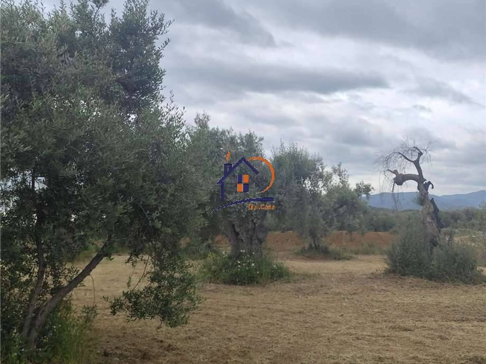 Helårsgrund i Corigliano-Rossano, Cosenza - foto 3