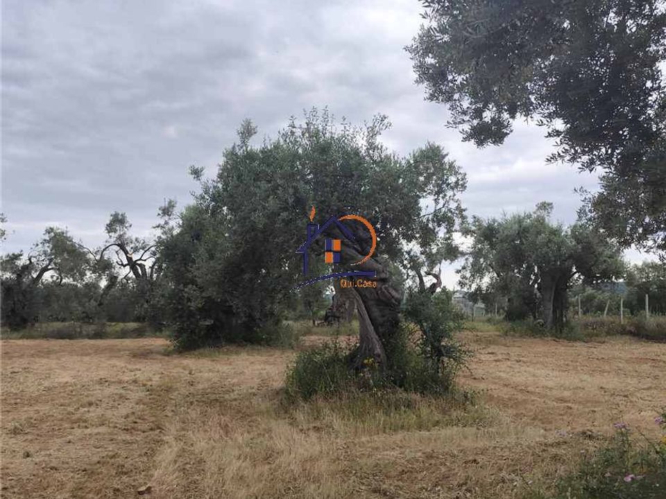 Helårsgrund i Corigliano-Rossano, Cosenza - foto 4
