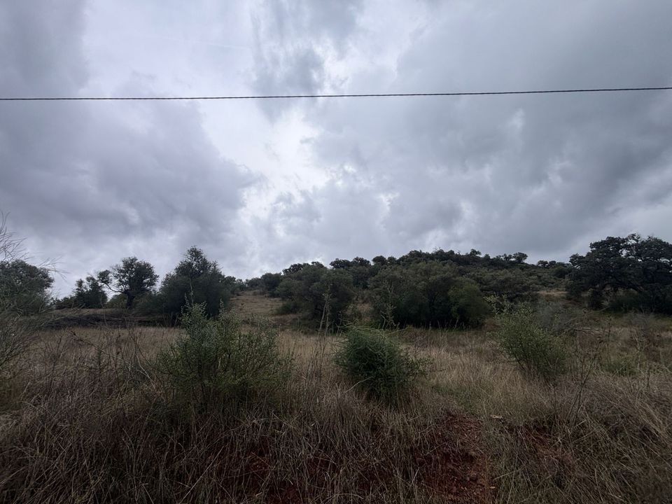 Helårsgrund i Almogia, Malaga - foto 5