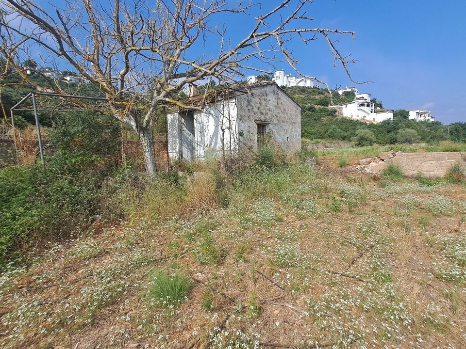 Helårsgrund i Pego, Alicante - foto 3