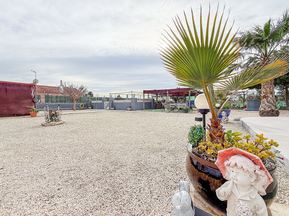 Herregård i Elche, Alicante - bilde 4