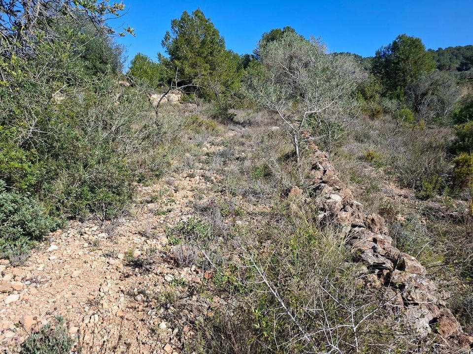 Tomt i Tarragona, Tarragona - bilde 5