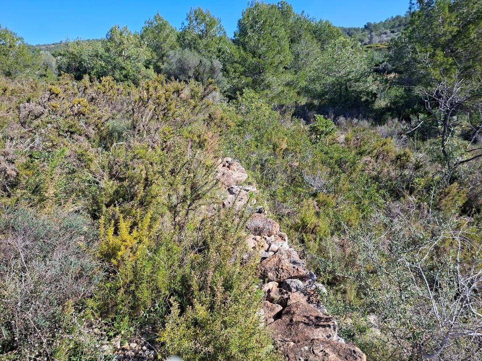 Tomt i Tarragona, Tarragona - bilde 2