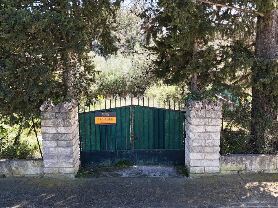 Helårsgrund i Sa Pobla, Mallorca - foto 3