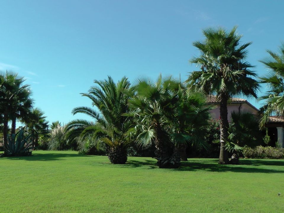 Finca i Santa Margalida, Mallorca - foto 2