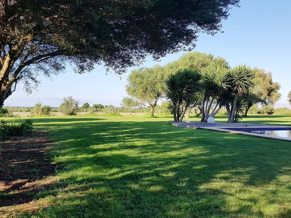 Finca i Santa Margalida, Mallorca - foto 3