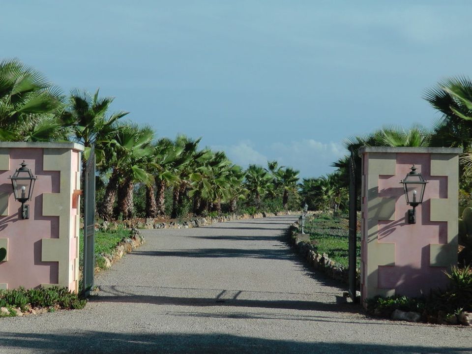 Finca i Santa Margalida, Mallorca - foto 4