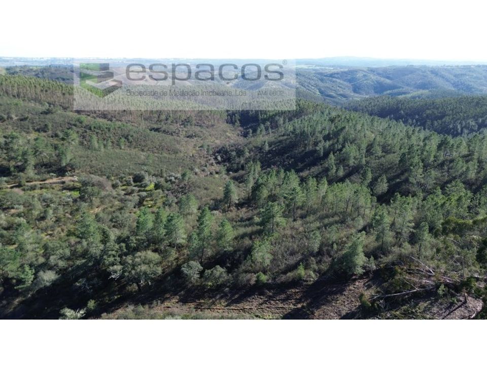 Helårsgrund i Castelo Branco, Castelo Branco - foto 4