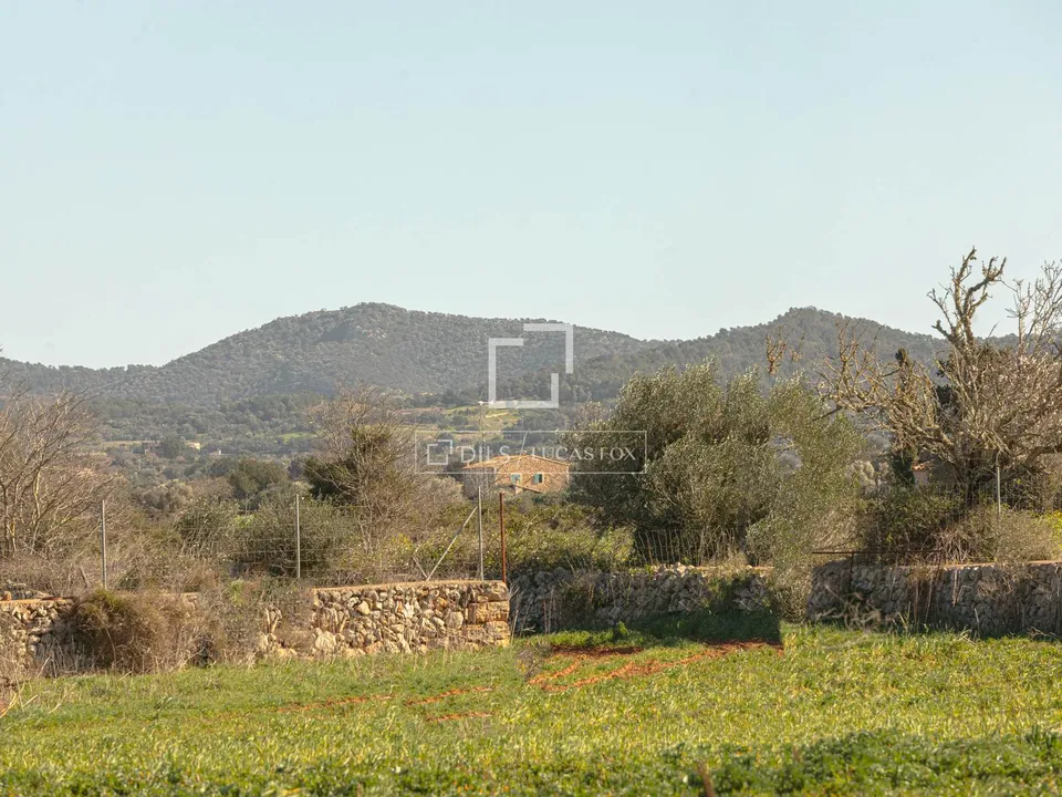 Herregård i Felanitx, Mallorca - bilde 3