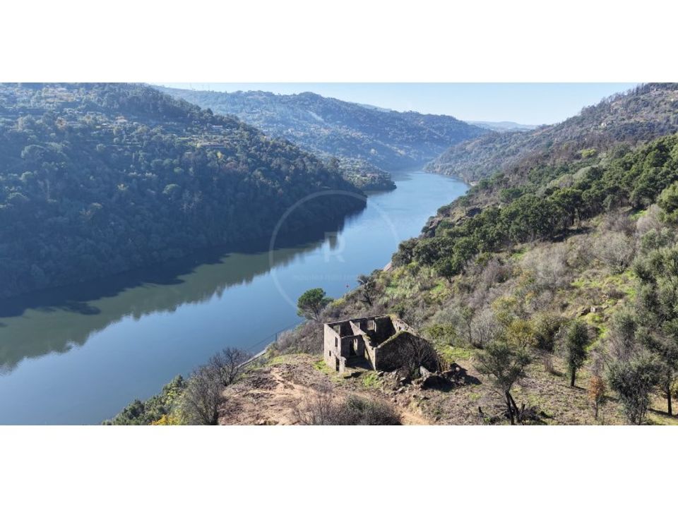 Gård i Ancede e Ribadouro, Porto - bilde 4