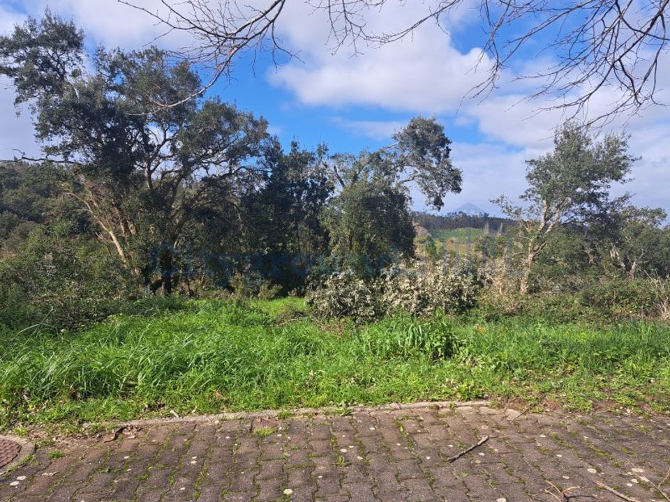 Helårsgrund i Leiria, Leiria - foto 2
