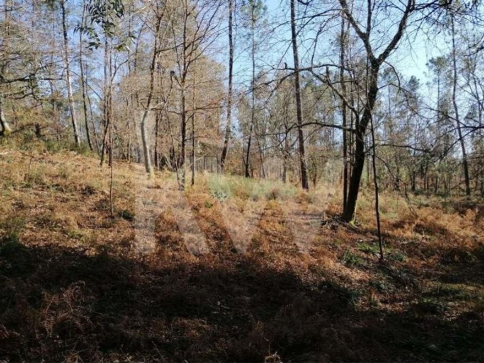 Helårsgrund i Vila Verde, Braga - foto 2