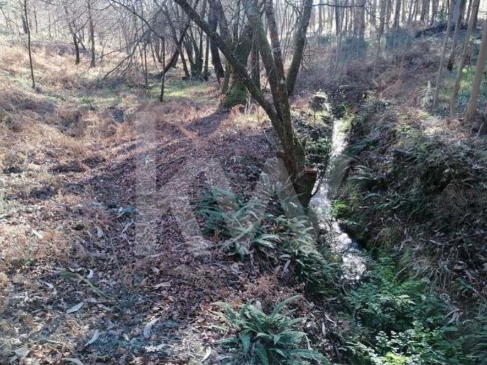 Helårsgrund i Vila Verde, Braga - foto 5
