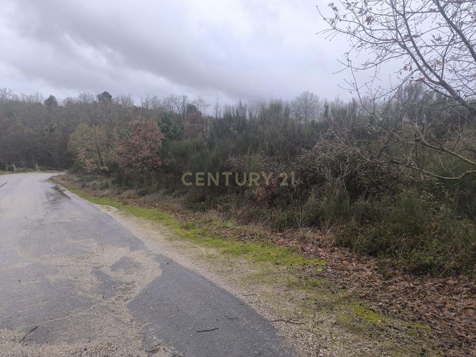 Helårsgrund i Eiras, Sao Juliao de Montenegro e Cela, Vila Real - foto 5