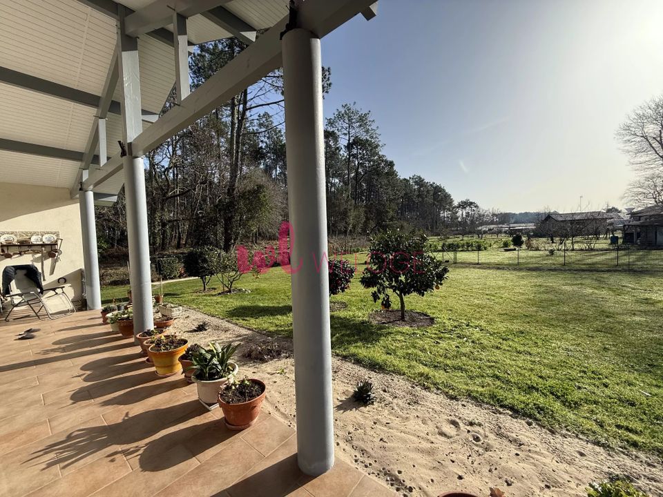 Villa i Léon, Landes - bilde 4