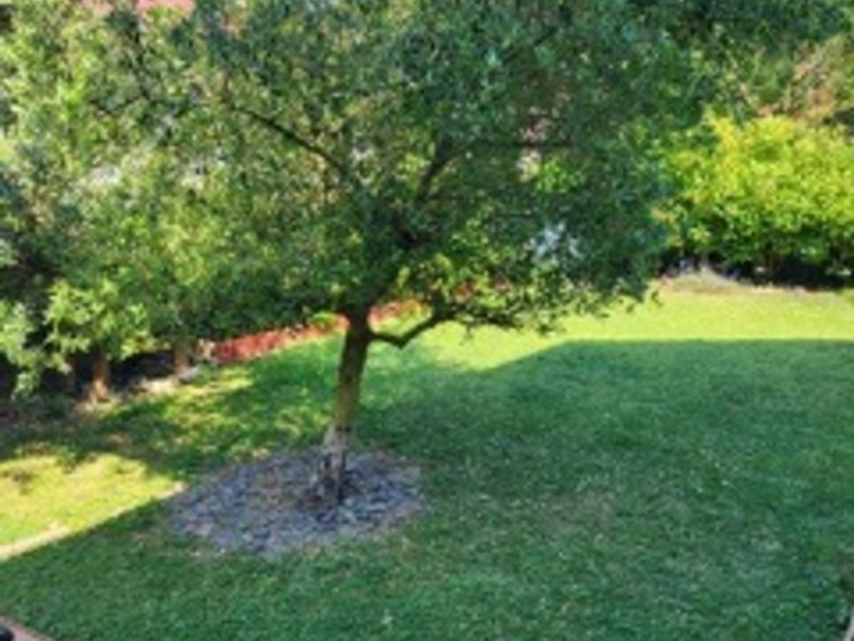 Villa i Saint-Pierre-en-Faucigny, Haute-Savoie - foto 3