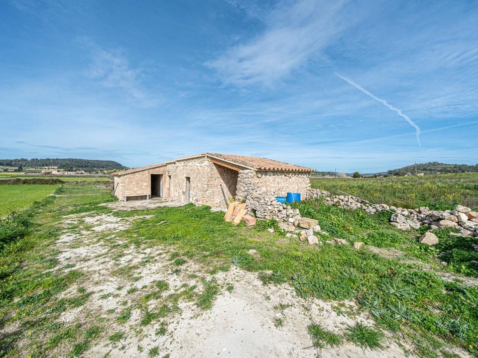 Tomt i Montuiri, Mallorca - bilde 3