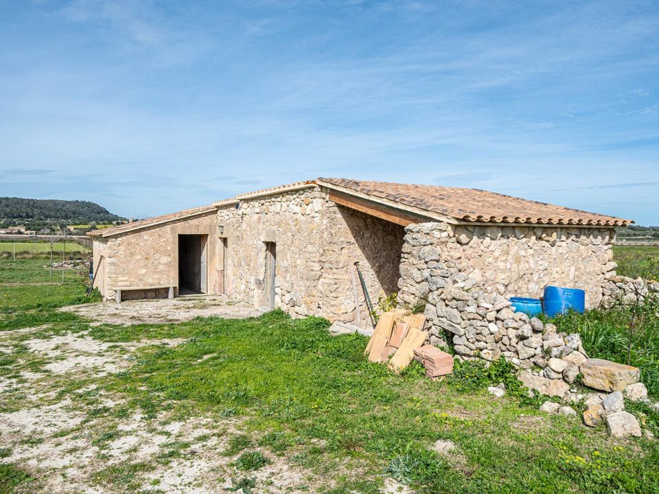 Tomt i Montuiri, Mallorca - bilde 5