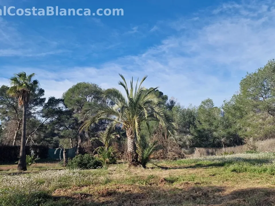 Finca a Alfaz del Pi, Alicante - foto 4