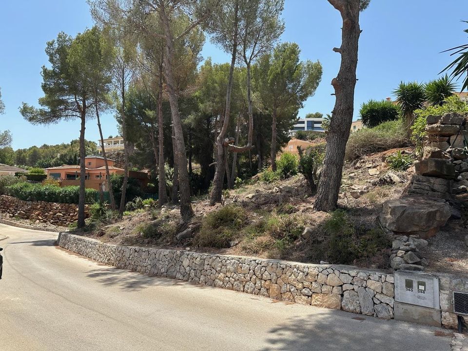 Terra a Denia, Alicante - foto 3